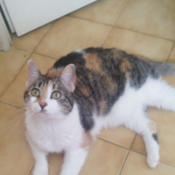 Izzy