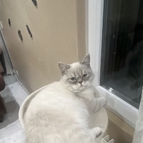 LUNA