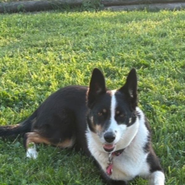 Roxy