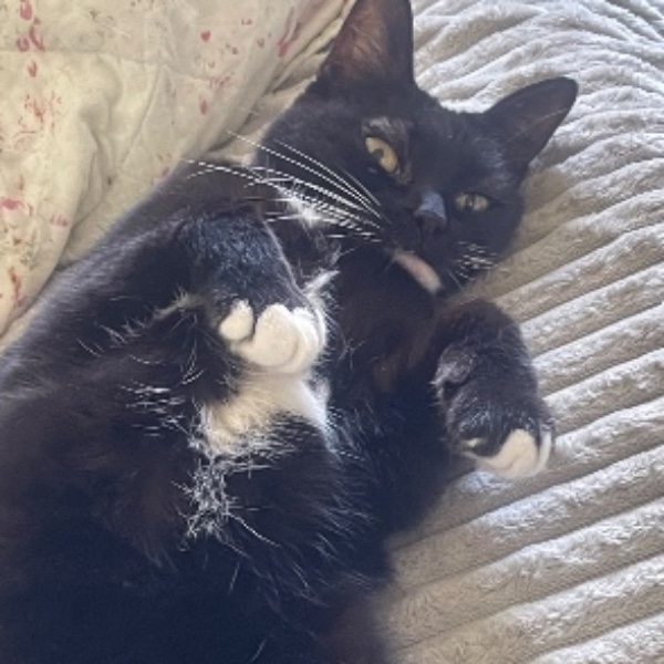 Luna