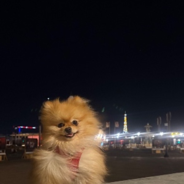 Nounours
