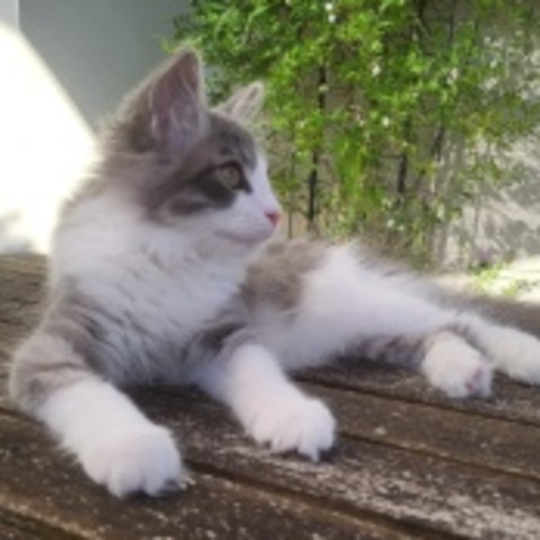 LUNA