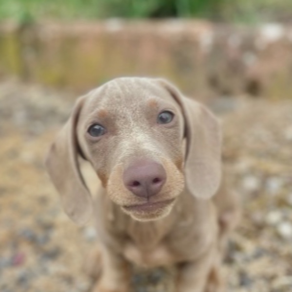 Bounty
