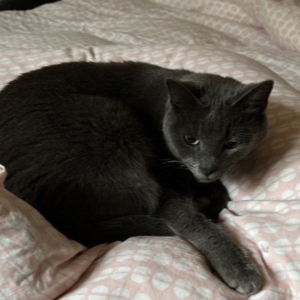 Pépite