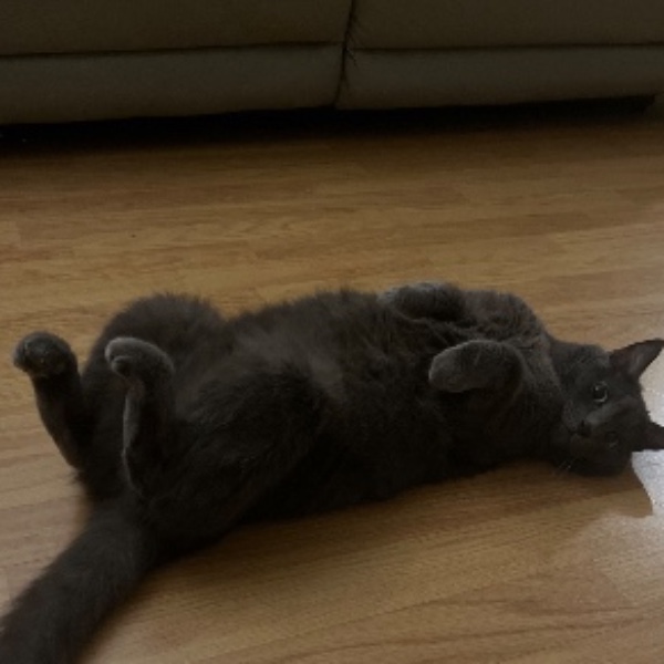 Paco