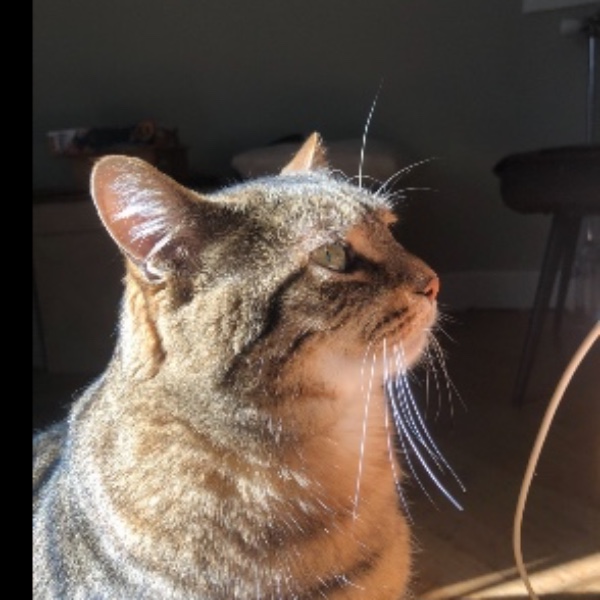 Titou