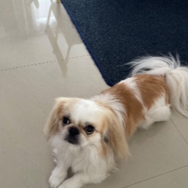 Léo