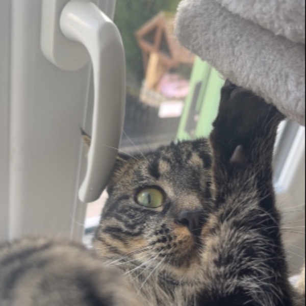 Zeus
