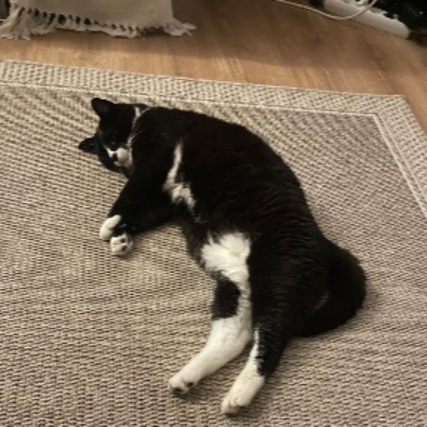 Marvin