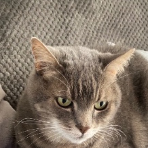 Moumoune