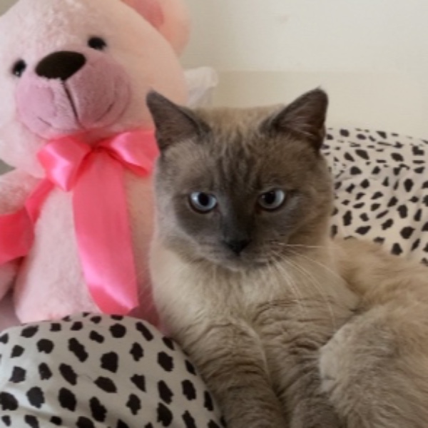 Mimi