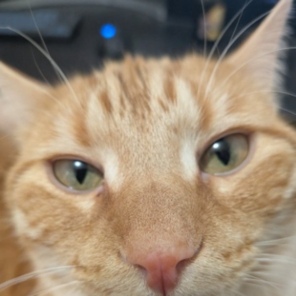 William