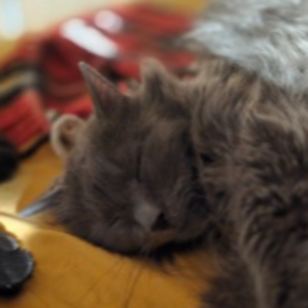 Maahes