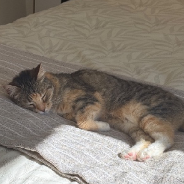 Mia