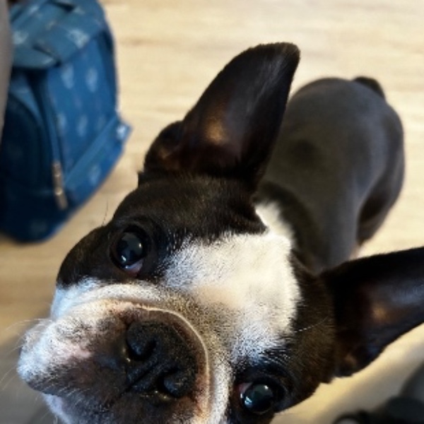 Oscar