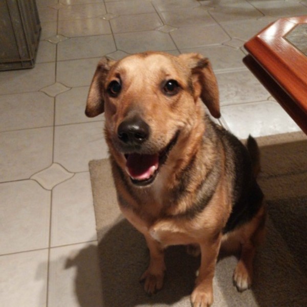 Milo