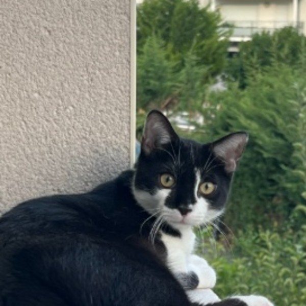 Floky