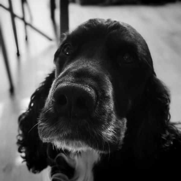 Pet’rus