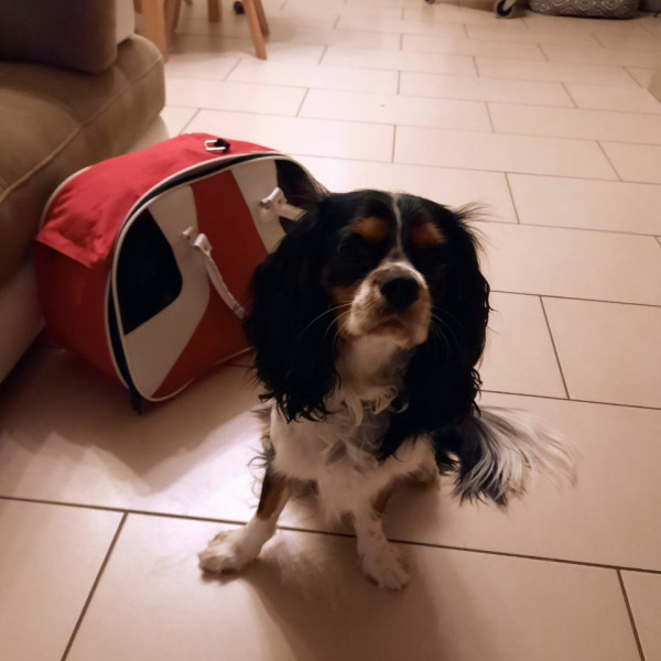 Ralfy