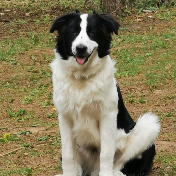 Vasco