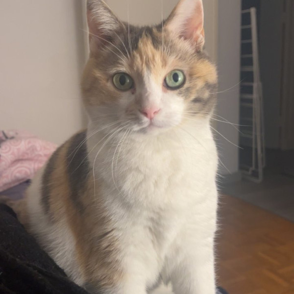 Molly