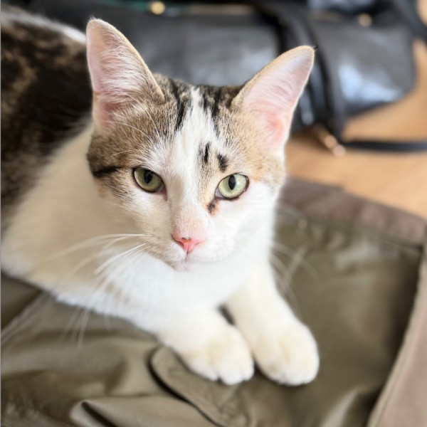 YUKI
