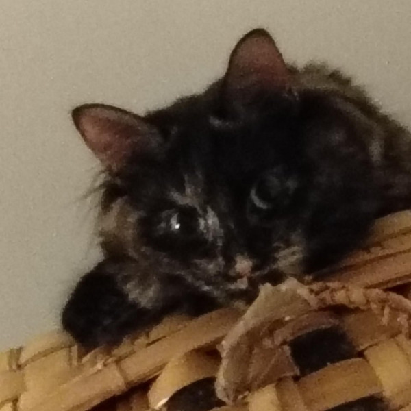 NALA