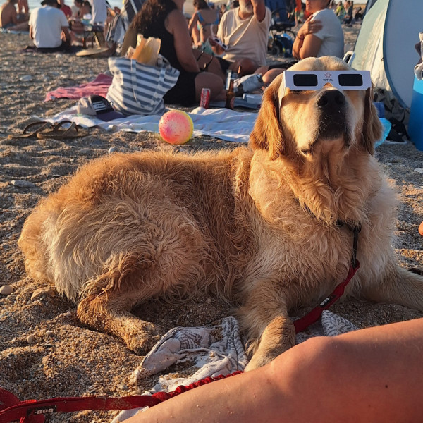 Vito