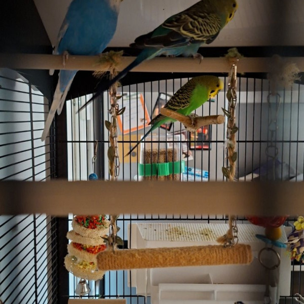 Nini et Blue