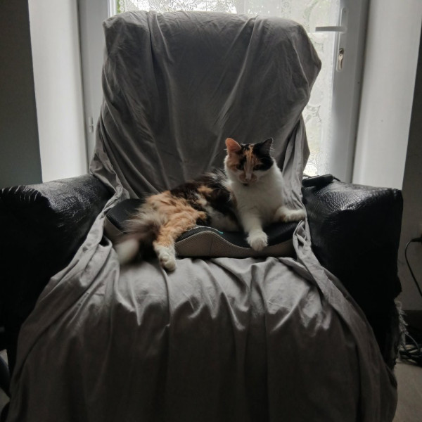Suki