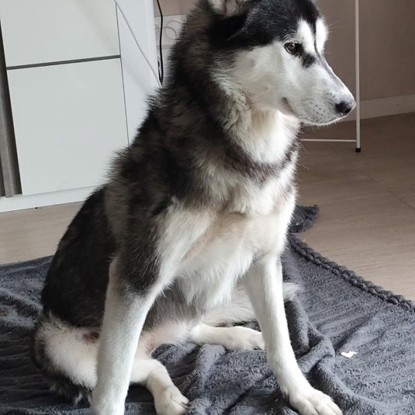 Tara