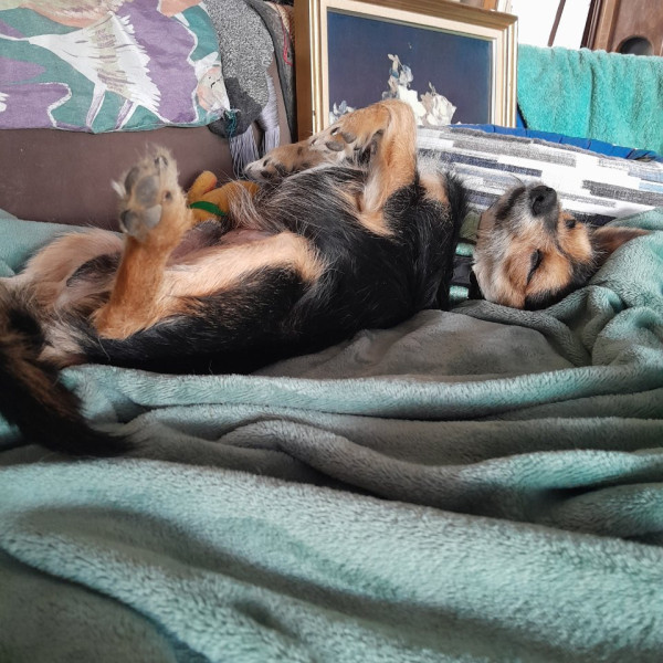 Bijoux
