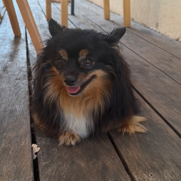 Charly