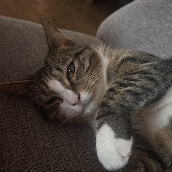 Kira