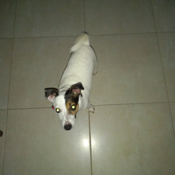 Billy