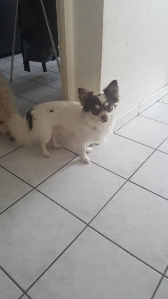 Jack