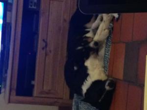 Django