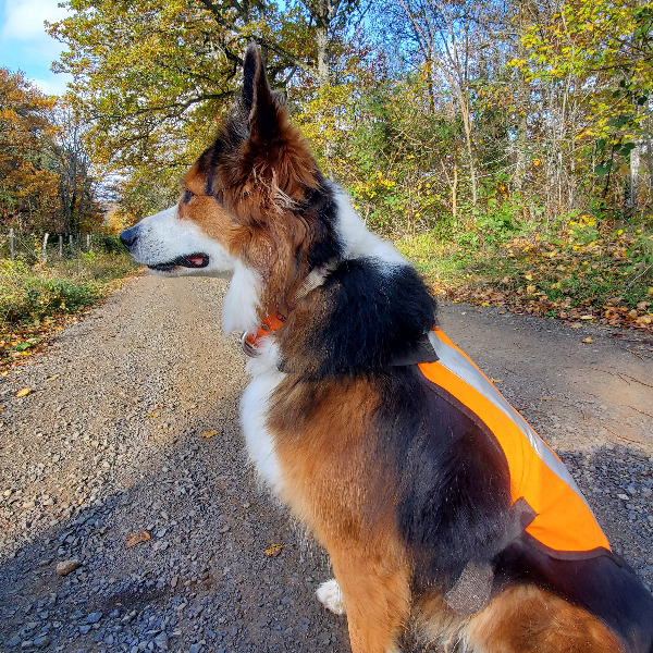 Mia