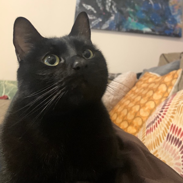 Kiko