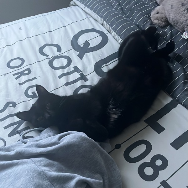 Mani