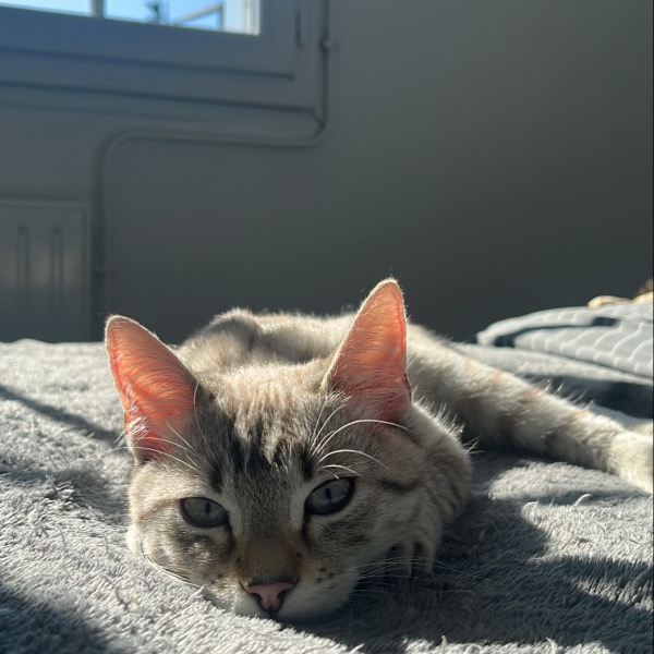 Charlie