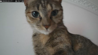Lili