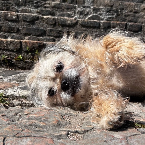 Roxy