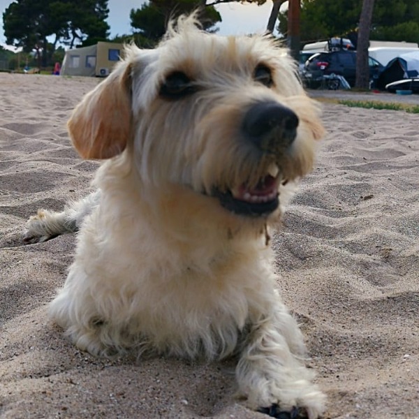 Bimba
