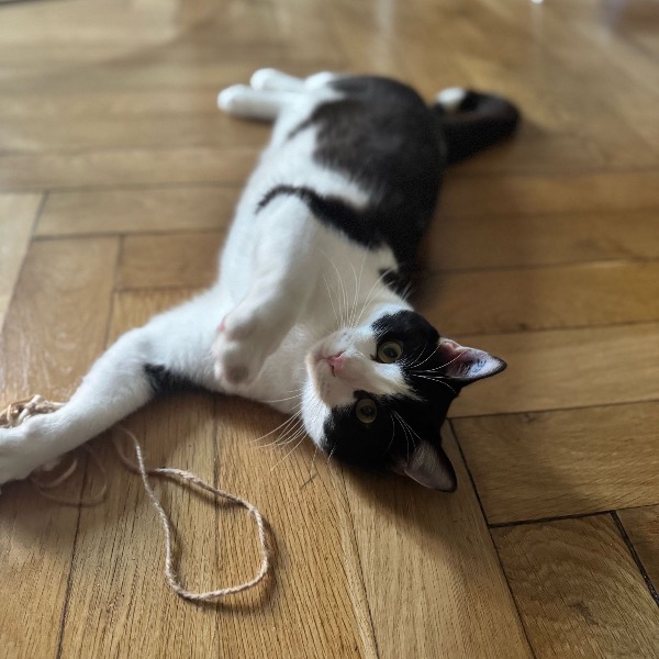 Pablo