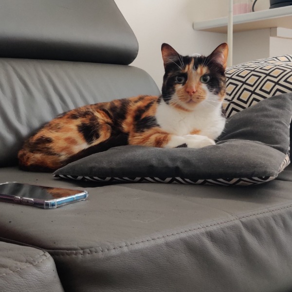 Nina
