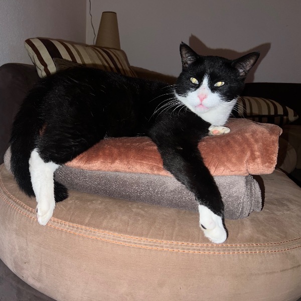 Paco
