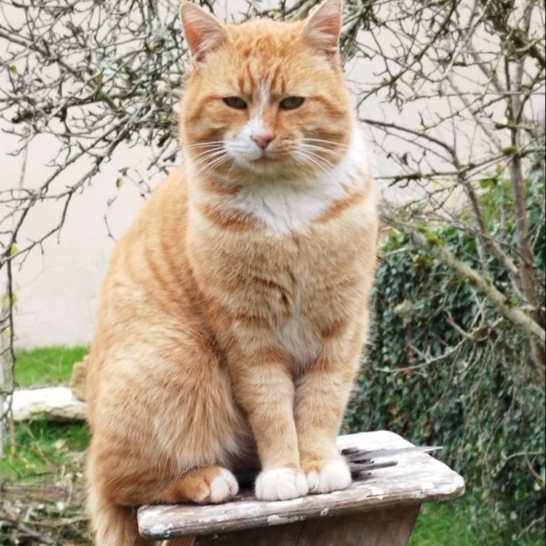Minet