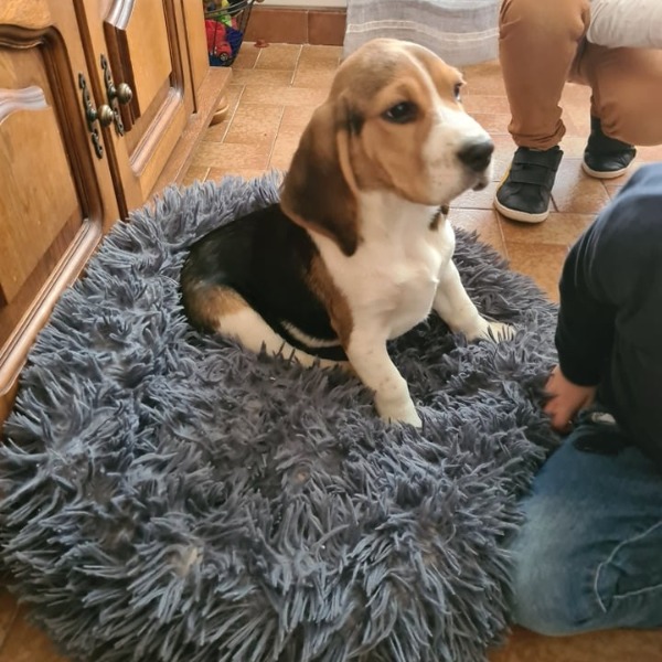 sammy