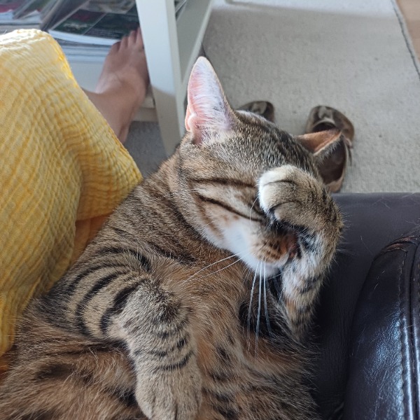 Nida